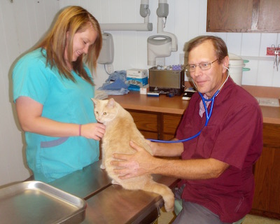greenfield ia pet vet