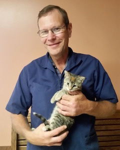 greenfield ia vet dr. schulteis