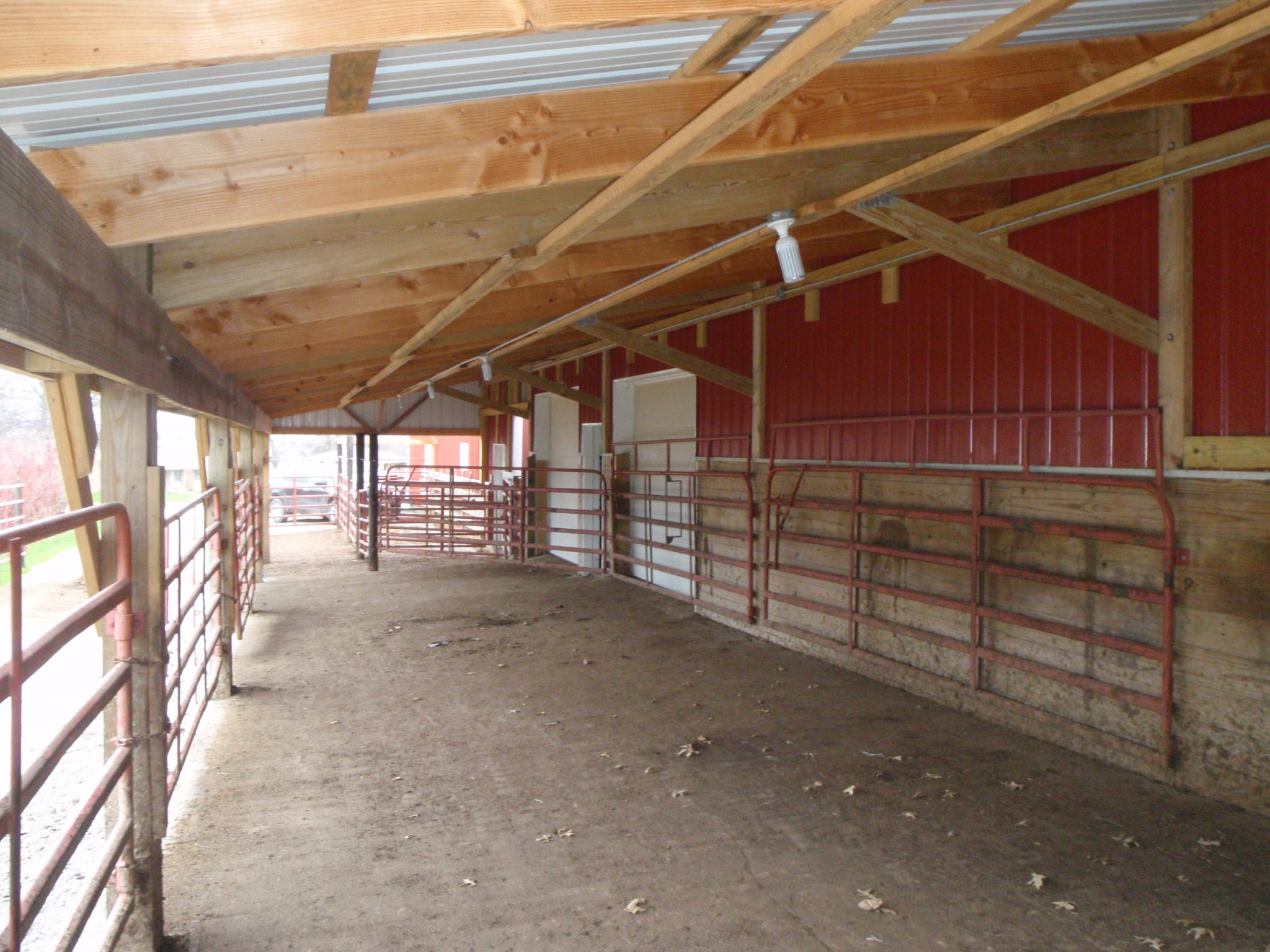 Greenfield, IA Feedlot Vet Cattle Adair County Vet Clinic