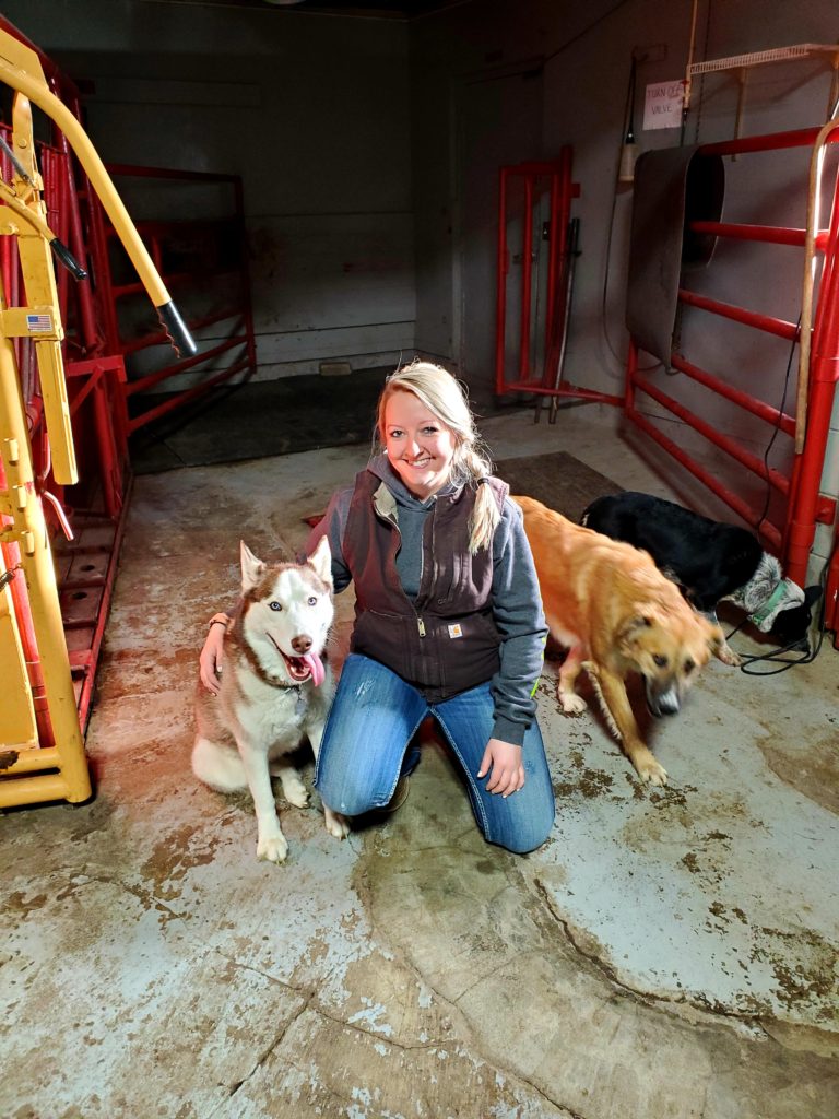 Greenfield, IA Vet Clinic & Animal Hospital Adair County Vet Clinic